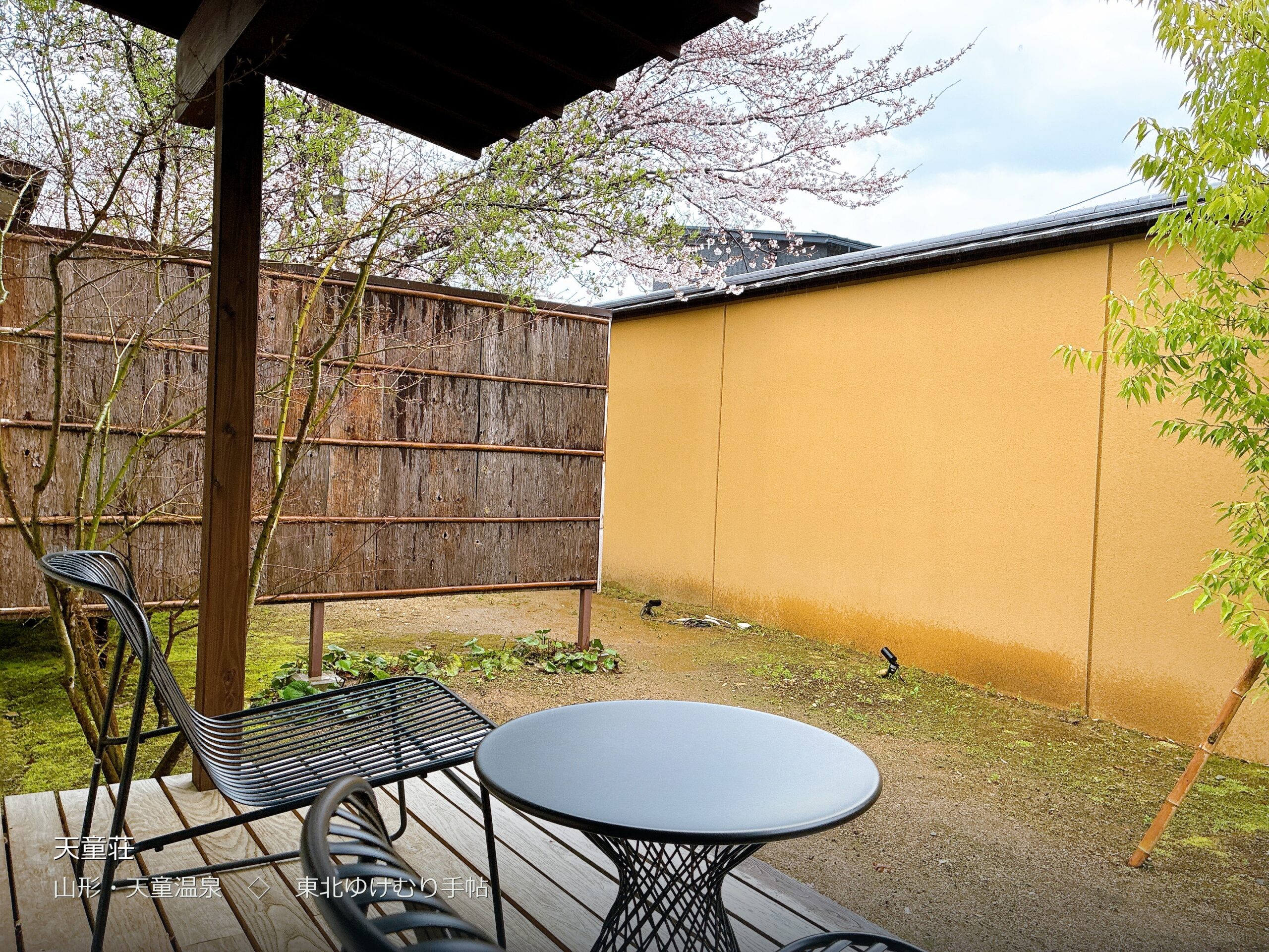 青竹の専用庭。屋根付きデッキと桜（撮影: machi）